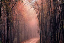 Hacking Group Ecological Partners Open Application